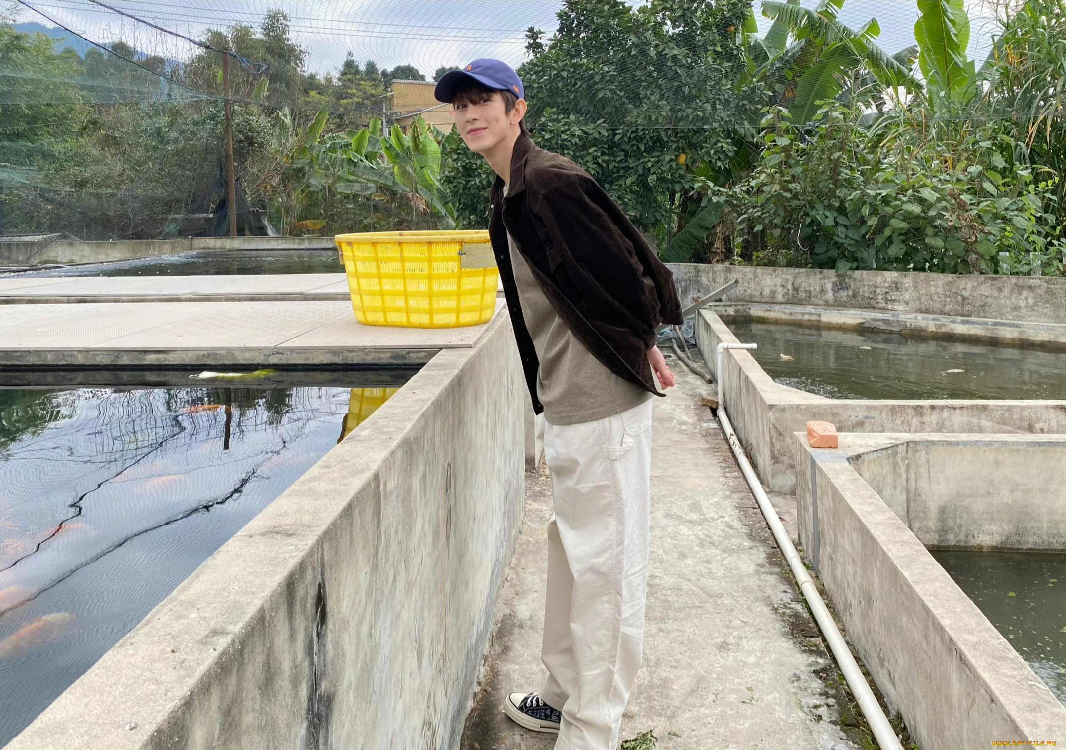 , zhu zanjin, , , 